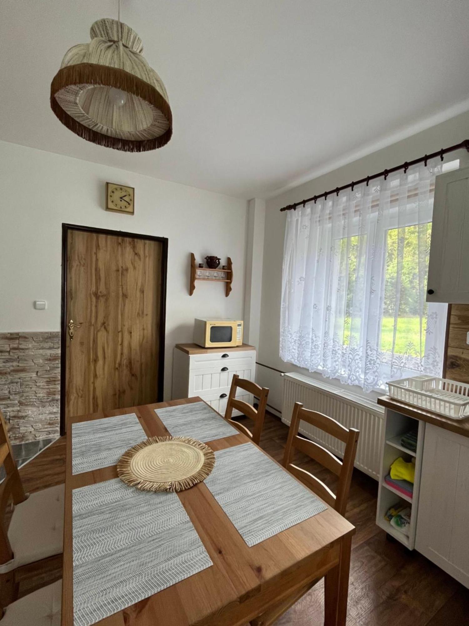 Apartman Pod Sjezdovkou Apartment Český Jiřetín Bagian luar foto